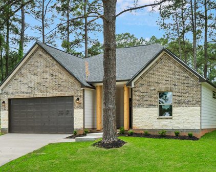 12155 Maverick Drive, Willis