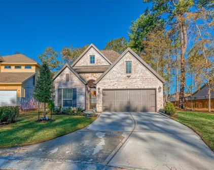 21602 Cascades Pass Court Court, Porter