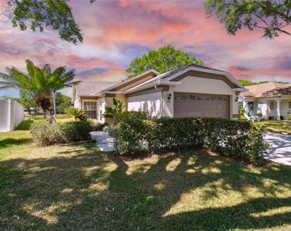 1735 Elk Spring Drive, Brandon