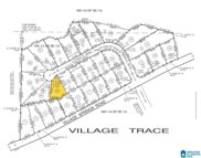 181 Village Trace Drive Unit 25, Springville image