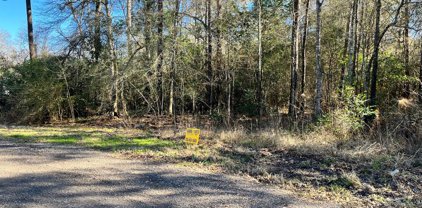 00 Hunters trail, New Caney