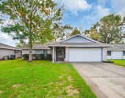 16710 Hibiscus Lane, Friendswood image