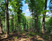 Lot 22 High Top Loop, Sevierville image