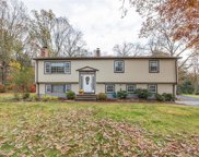 51 Pioneer Drive, Windsor image