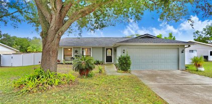1409 Shadow Bay Lane, Brandon