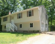 12 Giant Oak Lane, Ashford image