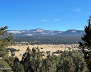 1609 County Road 3140, Vernon image