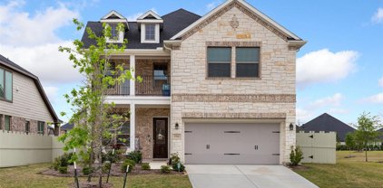 17221 Olive Blossom Court, Conroe