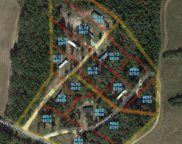 Old Reaves Ferry Rd., Conway image