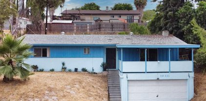 10111 Norte Mesa Dr, Spring Valley