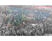 LOOKINGGLASS RD, Roseburg image