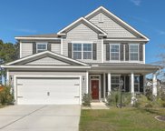 430 Abelia Lane, Summerville image