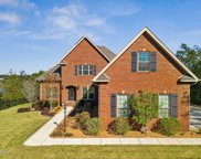 111 Lake Merial Boulevard, Panama City image