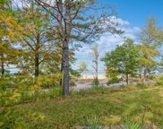 Lake Shore Drive, New Buffalo image