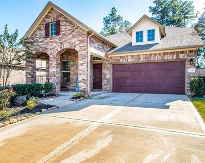 123 Scarlet Maple Court, Conroe