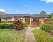 2933 Boxwood Court, Palm Harbor image