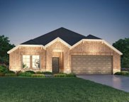 9853 Pearly Everlasting, Conroe image