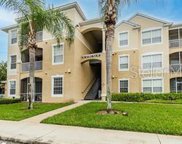 2307 Butterfly Palm Way Unit 201, Kissimmee image
