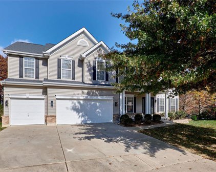 719 Autumnwood Forest  Drive, Lake St Louis