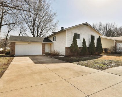 1118 Holly River  Drive, Florissant