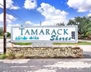 1035 Cypress Dr, Canyon Lake image