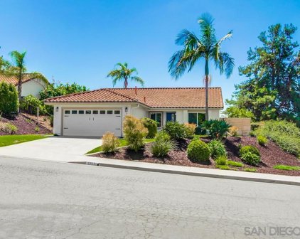 7911 Avenida Diestro, Carlsbad
