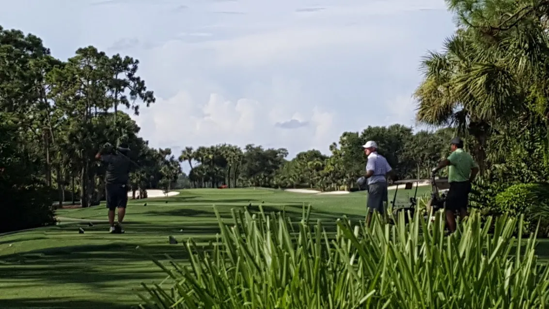 Pelican Landing Homes For Sale Bonita Springs Florida