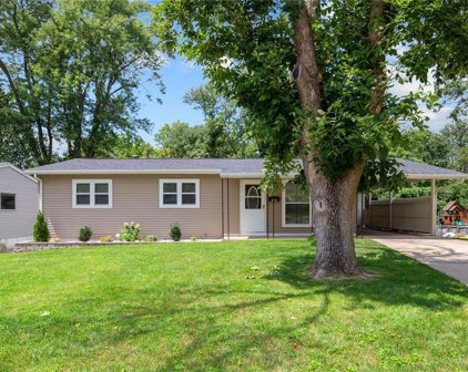 3273 Bristol Hall  Drive, Bridgeton