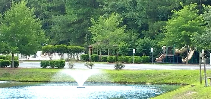 Pond in Wakefield, Longs SC