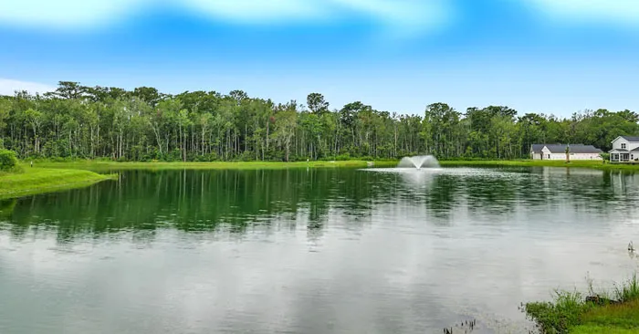 Lake in Sugarloaf, a Conway Subdivision