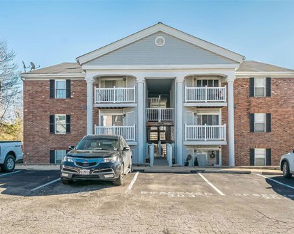 1924 Marine Terrace  Drive Unit #E, St Louis