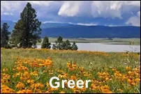 Greer Homes