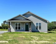 218 Pan Creek Road, Baileyton image