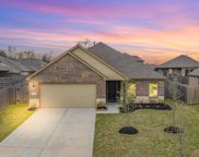 18844 Palmetto Hills Drive, New Caney image