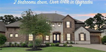 17507 Stonebrook Run Court, Tomball