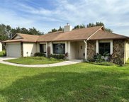 2980 Carrot Wood Court, Kissimmee image