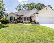 3056 Dewberry Dr., Conway image