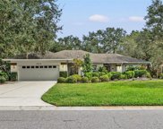3014 Wilderness Boulevard E, Parrish image