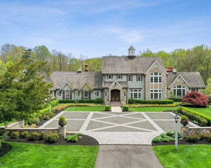 166 Liberty Corner Rd, Far Hills Boro
