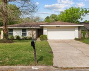 4430 Saffron Lane, Friendswood image