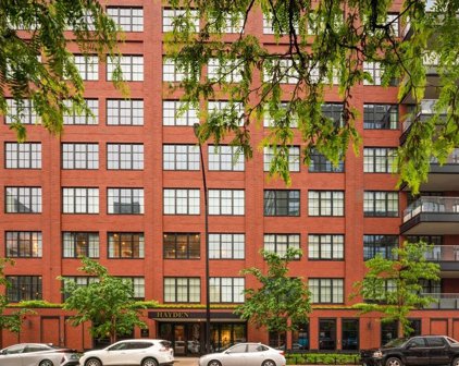 1109 W Washington Boulevard Unit #3B, Chicago