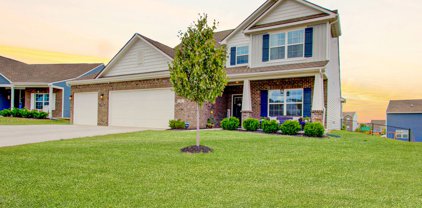 996 Libra Drive, Franklin