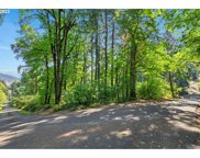 SE MAPLE HILL LN, Happy Valley image