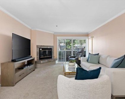 1682 Circa Del Lago Unit #A110, San Marcos