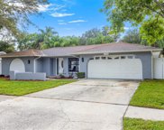 2364 Shade Tree Lane, Clearwater image