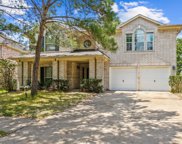 17302 Horsetooth Canyon Drive, Houston image