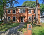 19815 Bambiwoods Court Court, Humble image