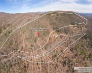 0000 Locust Grove  Road, Hendersonville image