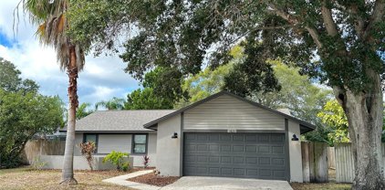1431 Noell Boulevard, Palm Harbor