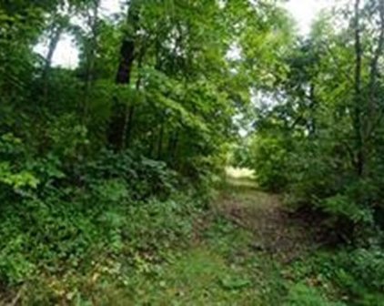 71 Kline Rd, Southwick